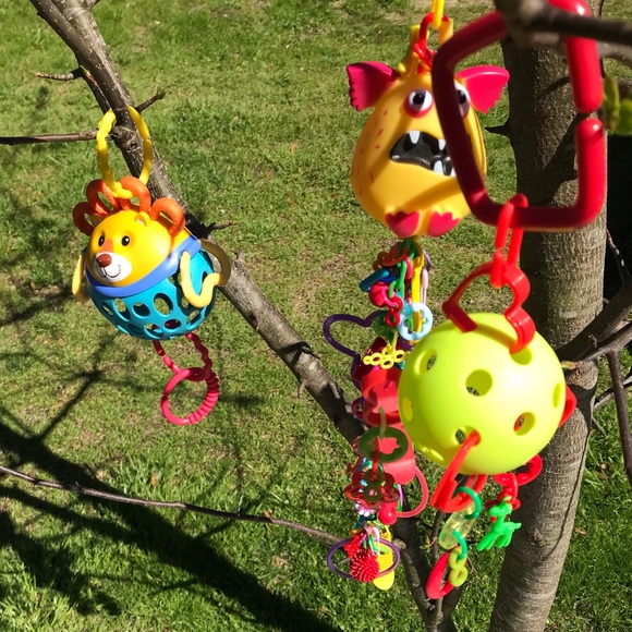 Lot Small Pet Hanging Enrichment Sugar Glider Toys Extra Hanging Clips - Picture 10 of 12